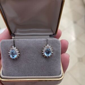 Elegant Blue Teardrop Earrings